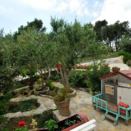 Sandra トロギール