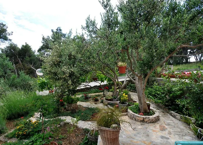 Apartament Sandra *