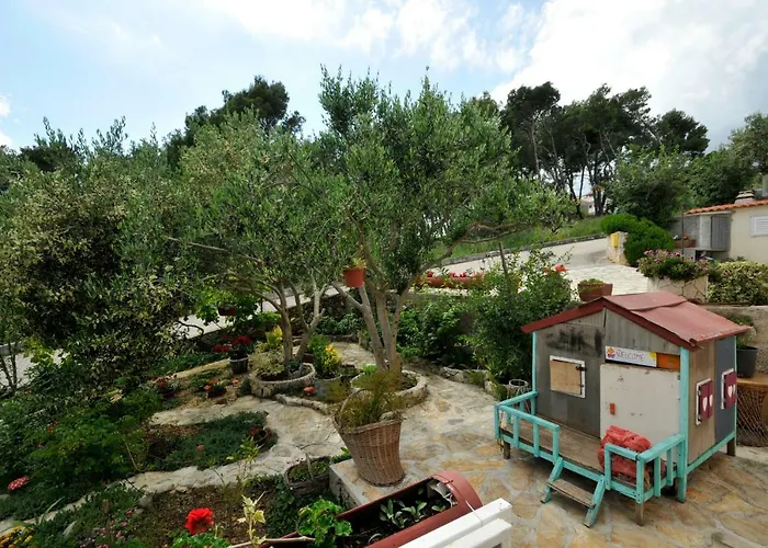 Sandra Trogir
