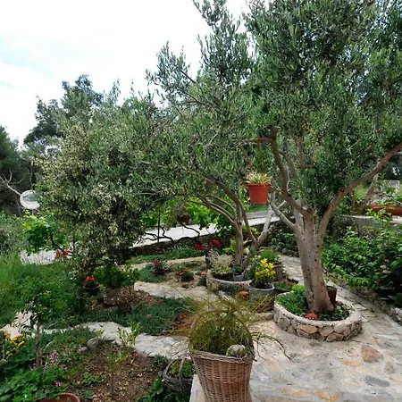 Appartement Sandra *